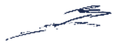 Подпись директора